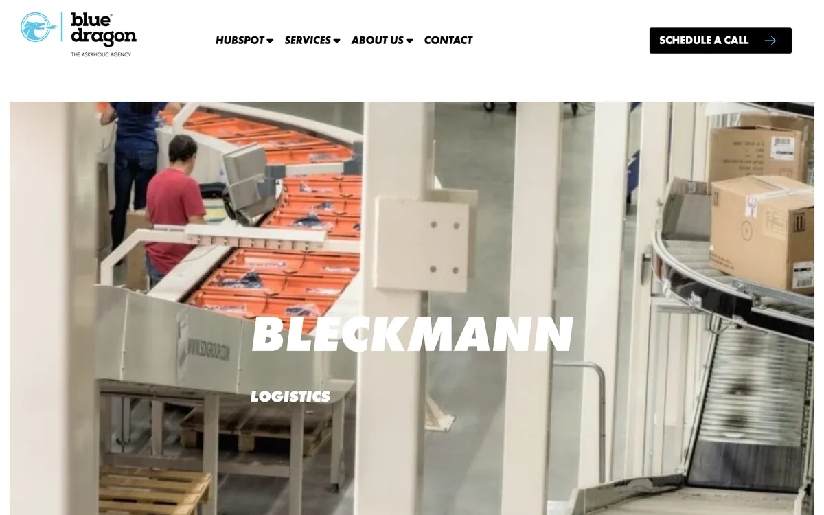 Blue Dragon case study page on Bleckmann's marketing automation in HubSpot