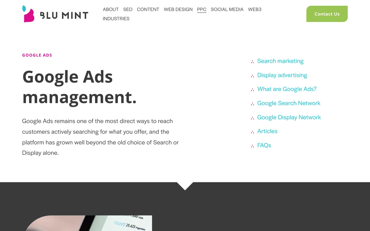 Blu Mint Google Ads management page with its campaign types table